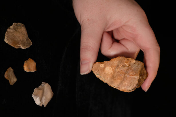 7 stone tools might rewrite the timeline of hominid migration in Indonesia 