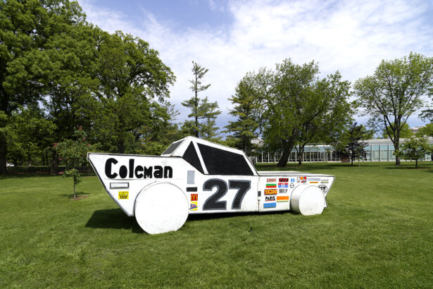 A Moving Encounter With the Art of Bernard Williams