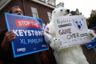 A new report shows how local climate activism leads to ‘remarkable’ gains