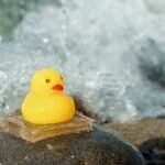 AI-Designed Hydrogel Inspired by Nature Creates Ultra-Strong Underwater Adhesive