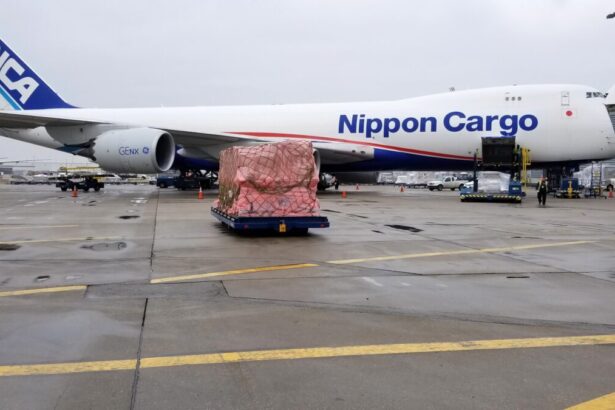 All Nippon Airways finalizes takeover of Nippon Cargo Airlines