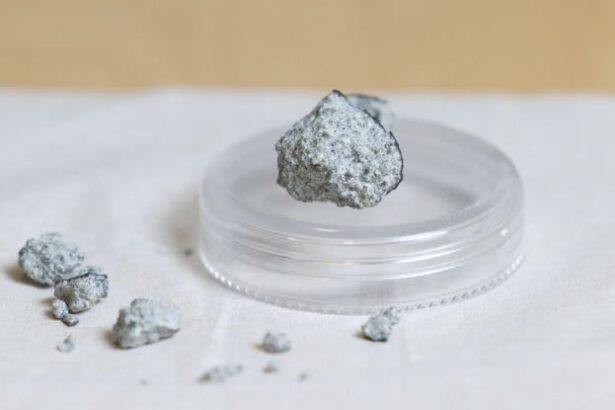 Atlanta Home Struck by Meteorite Older Than Earth, Study Finds : ScienceAlert
