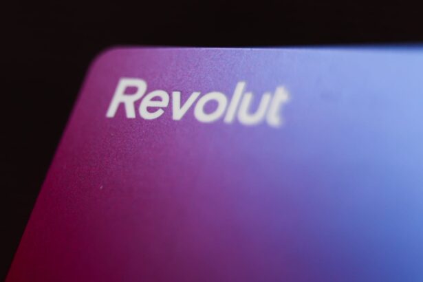 Bank of England governor denies rift with government over Revolut