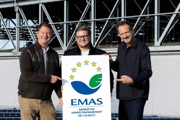 Bavaria Fiction Champions Green Standards