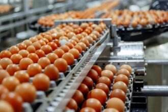 Cal-Maine Foods creates chief strategy officer role