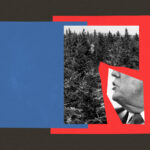 Can protecting nature be nonpartisan?