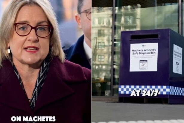 Can’t Make This Up… Aussie Premier Jacinta Allan Sets Up ‘Machete Drop Boxes’ for Locals to Dispose of Their Banned Swords |