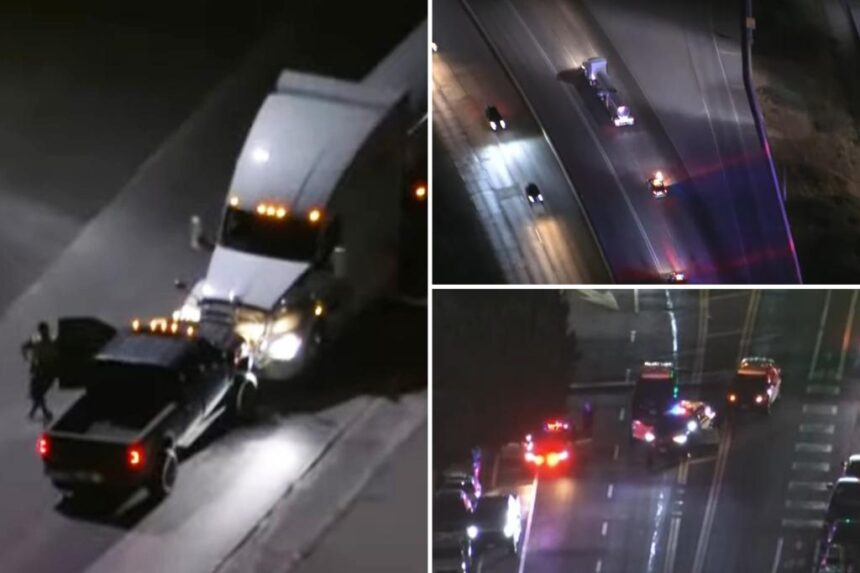 Carjack suspects lead LA cops on wild chase on live TV