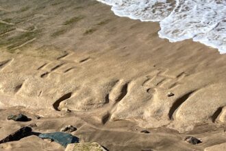 Changing Tides Expose Centuries-Old Petroglyphs in Hawaii
