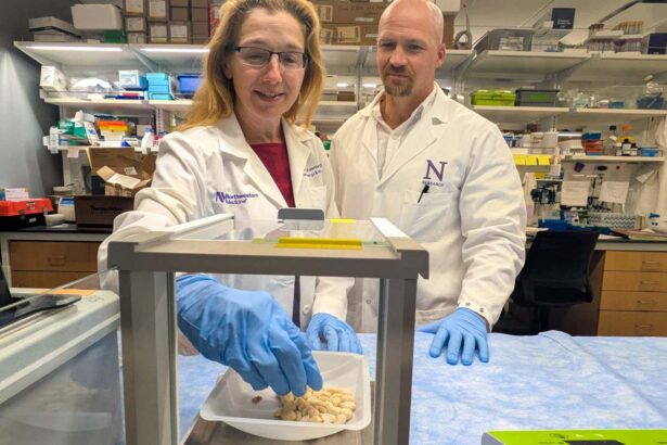 Common asthma drug could prevent life-threatening allergic reactions