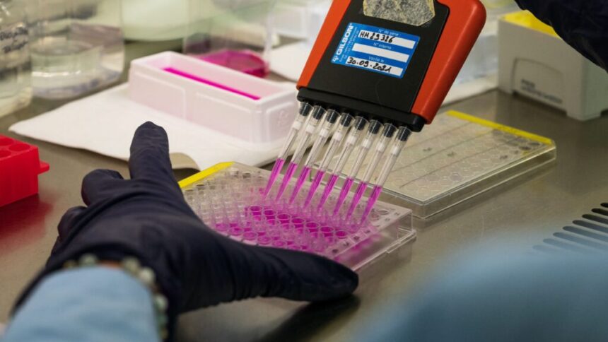 Could cancer vaccines get held up by HHS’s stance on mRNA?| STAT