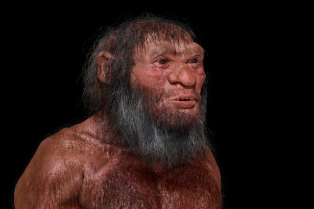 Denisovans: Why a mysterious group of ancient humans doesn’t have a species name