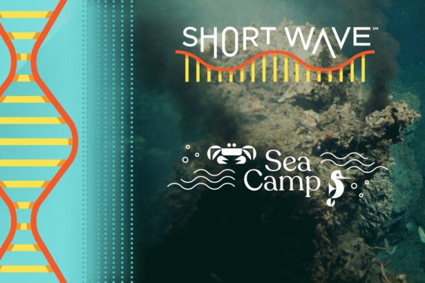 Did life start on the ocean floor — and what does that mean for alien life? : Short Wave : NPR