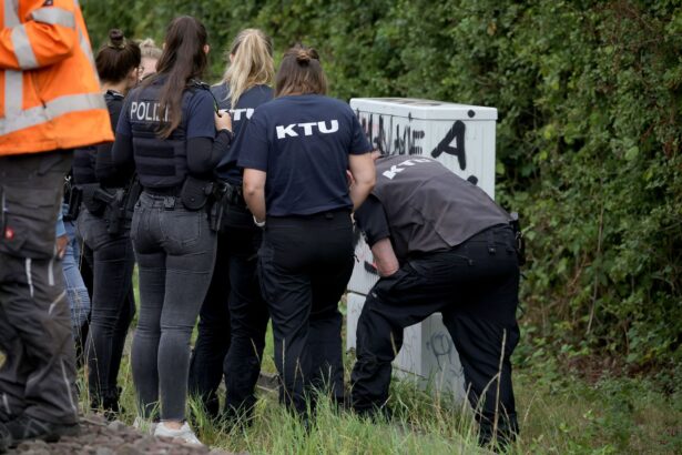 Drew Peterson’s crime – A detailed case overview