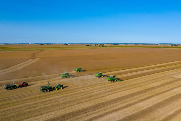 EPA’s Proposal to Focus Biofuel Policy on Domestic Fuels Doesn’t Add Up