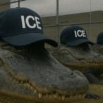 Florida Reportedly Eyeing Another ‘Alligator Alcatraz’ at Former WWII POW Camp as Deportations Mount |