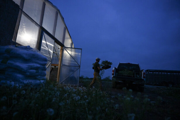 Following the USDA’s food and farm funding: Here’s what’s been canceled and frozen, and resources for those affected