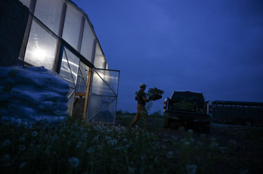 Following the USDA’s food and farm funding: Here’s what’s been canceled and frozen, and resources for those affected