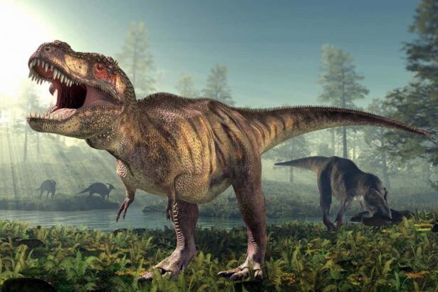 Giant meat-eating dinosaur skulls reveal ‘bone-crushing’ bite