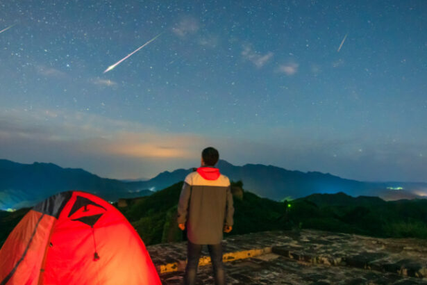 Here’s When to Look Up : ScienceAlert