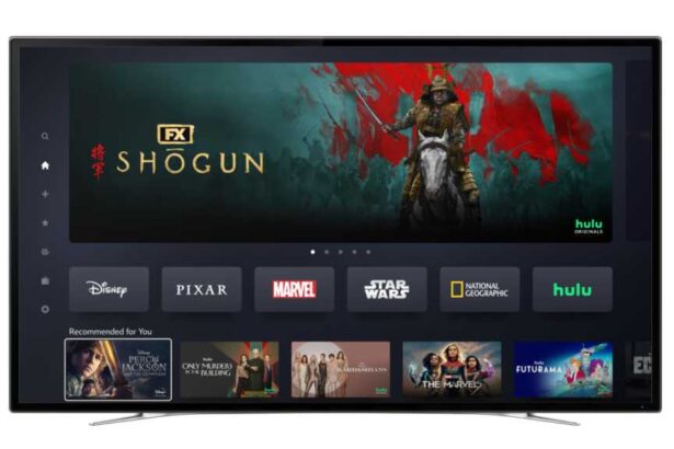 Hulu and Disney+ Merger – Here’s All Your Questions Answered