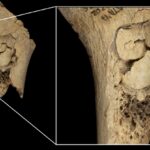 Human Bones Reveal Evidence of One Horrifying Cannibalistic Feast : ScienceAlert