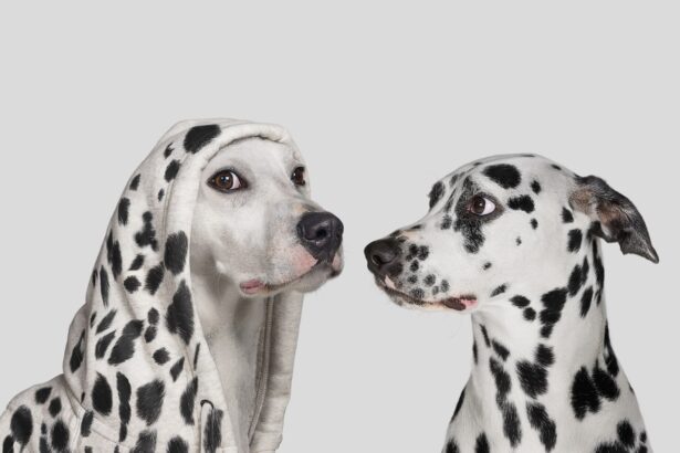 Impersonators are targeting companies with fake JS outreach