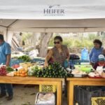 Indigenous solutions for the cost of living crisis