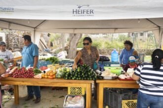 Indigenous solutions for the cost of living crisis