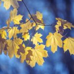 Inspirational, Funny and Positive Sayings