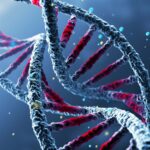Key genetic differences found in people with chronic fatigue syndrome
