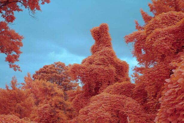 Kudzu Engulfs Everything in Its Path in Zac Henderson’s ‘Palimpsest’ — Colossal