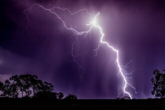Lightning Kills Way More Trees Than You Would Ever Believe : ScienceAlert