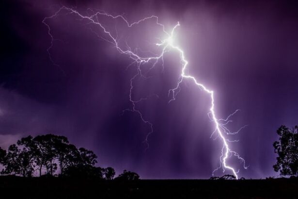 Lightning Kills Way More Trees Than You Would Ever Believe : ScienceAlert