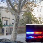 Man, 68, fatally chokes younger sister in NYC apartment: cops, sources