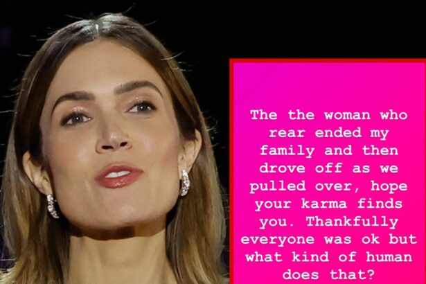 Mandy Moore Blasts Motorist Who Allegedly Plowed Into Her Family
