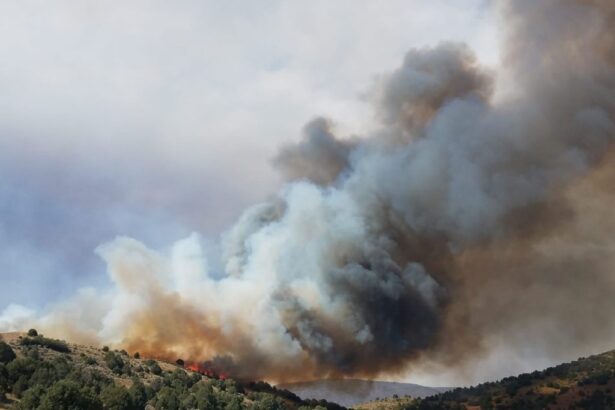 Meeker fires scorch more than 60,000 acres