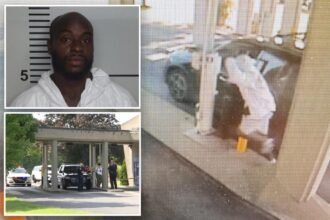 Mom, kids allegedly abducted at knifepoint by career criminal — who was out on ‘shock probation’ thanks to Dem-appointed judge
