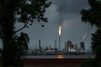 My Petrochemical Jobs Study Triggered Tulane University’s Audacious Attack on Science