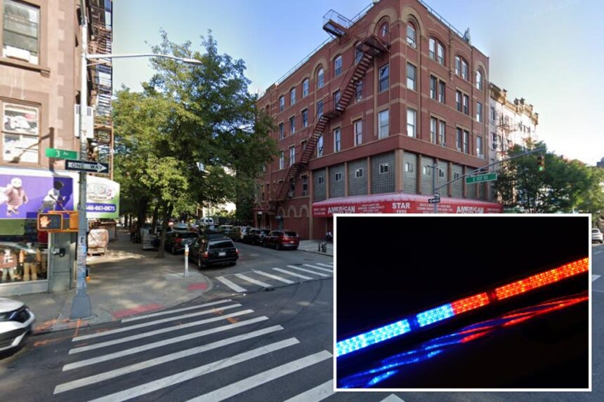 NYC crook steals car then returns it when he finds 9-year-old inside: sources
