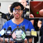 ‘Nightmare of abuse and exploitation’