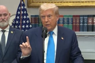 ‘No MR. NICE GUY’: Trump spills details of D.C. cleanup as ‘American Public is not going to put up with it any longer’ |