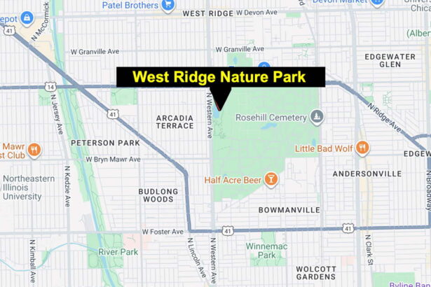 Park patrols boosted after women are grabbed, followed