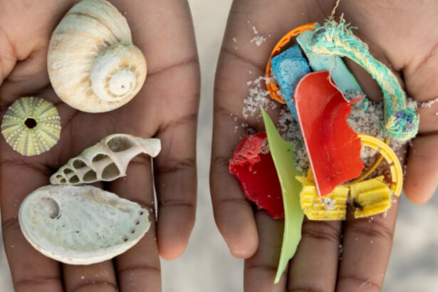 Plastic’s Impact on Health Costs .5 Trillion Every Year, Report Warns : ScienceAlert