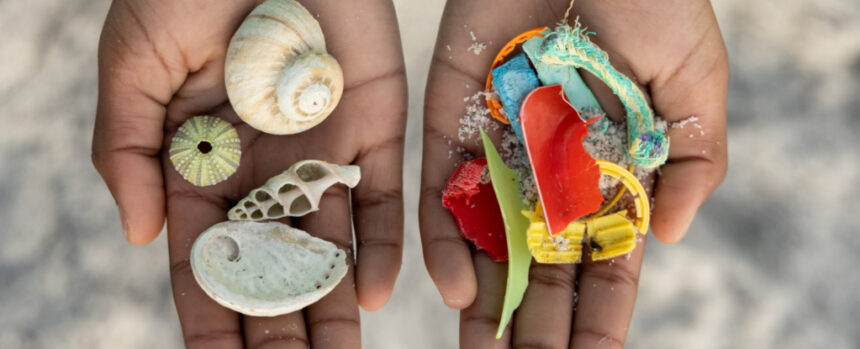 Plastic’s Impact on Health Costs .5 Trillion Every Year, Report Warns : ScienceAlert