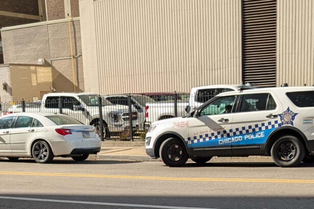 Police panel plans traffic stop limits, but its own survey found most Chicagoans oppose restrictions