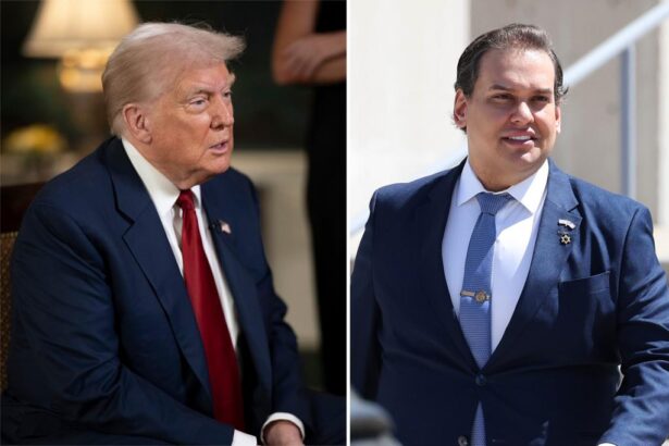 President Trump demurs on pardoning George Santos: ‘He lied like hell’