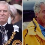Prince Andrew ‘Terrified’ to Return to the US Due to Epstein Probe