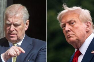 Prince Andrew and Donald Trump Had Sick Conversation About ‘P—-‘