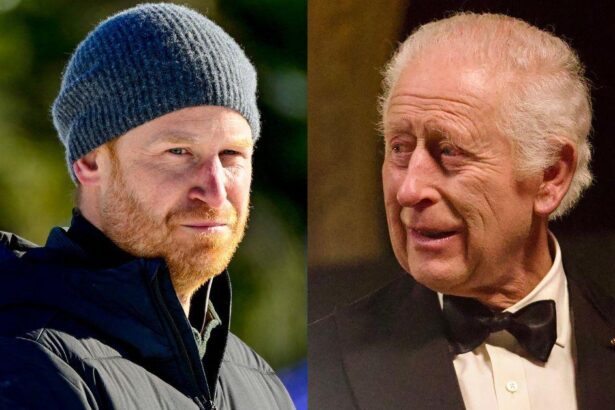 Prince Harry, King Charles Hold Secret Peace Talks Amid Royal Rift